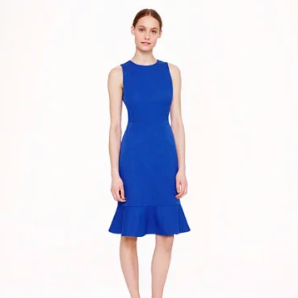 NWT Jcrew Ruffle Hem Dress